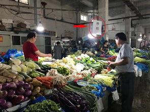 南门桥菜市场最新爆料,最新爆料揭秘市场新面貌 第2张 南门桥菜市场最新爆料,最新爆料揭秘市场新面貌 第2张