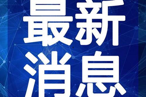 悟惑寺最新爆料新闻视频,揭秘神秘事件背后的真相