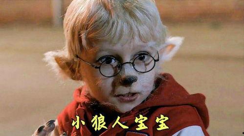 小狼人电影在线观看,在线观看，探寻神秘狼人世界的奇幻之旅
