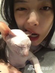 娱乐吃瓜酱虐猫博主,揭秘网络暴力背后的真相  第2张