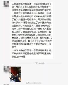 潍坊开发商爆料事件视频,揭露行业乱象背后的真相