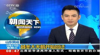 山东电视台在线观看,尽享精彩瞬间，畅游视听盛宴