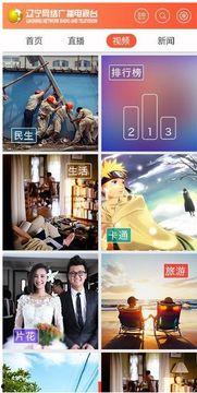 辽宁卫视在线直播高清观看,尽享视听盛宴  第1张