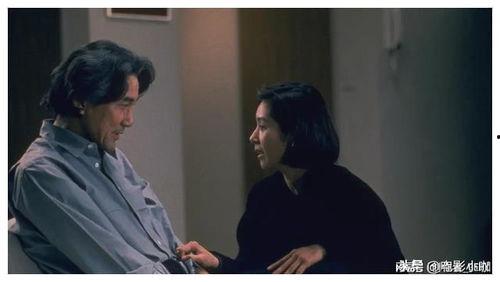 论理电影在线观看免费,免费在线观看，探索光影世界的奥秘