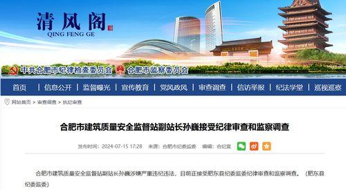 爆料大皖新闻,揭秘事件背后真相 第3张 爆料大皖新闻,揭秘事件背后真相 第3张
