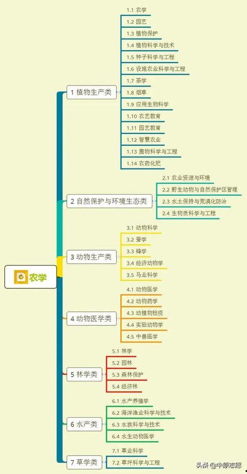 大鹰爆料大姐视频大全  第3张