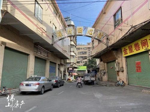 卧虎山训练场爆料视频,实战演练背后的震撼瞬间