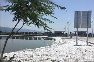 盐湖区最新爆料,揭秘神秘事件背后的真相 第1张 盐湖区最新爆料,揭秘神秘事件背后的真相 第1张