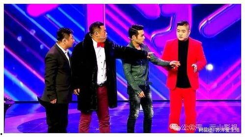 辽宁春晚爆料视频播放大全,精彩瞬间大盘点  第2张