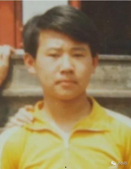 镇平网红吃瓜事件始末视频,一场网络舆论的风暴与反思  第3张