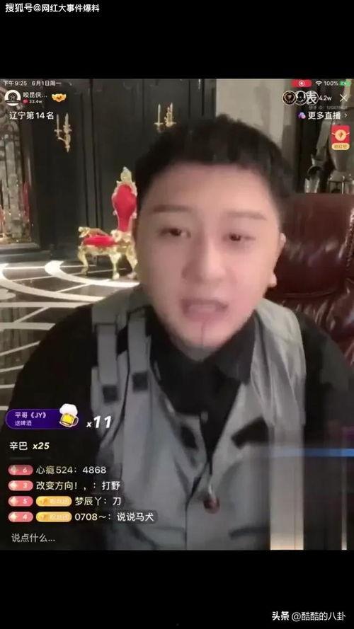 方丈爆料辛巴视频在线观看,独家视频曝光，带你走进辛巴世界  第2张