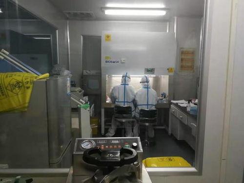 病毒实验室最新疫情爆料,病毒实验室最新爆料揭示病毒变异与传播趋势  第2张