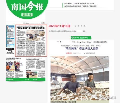鹰潭实时爆料新闻报道今天,鹰潭突发！最新爆料事件引发关注  第3张