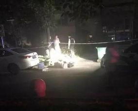 网友爆料坠楼事件视频下载,惊心动魄的坠楼事件视频引发社会关注
