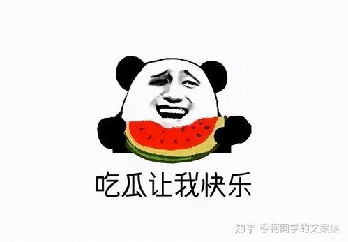 吃瓜群众免费吃瓜,全民共享欢乐时光  第1张