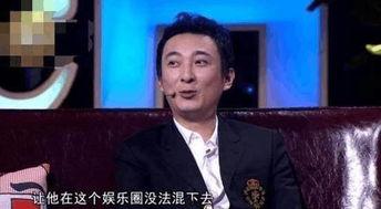 娱乐爆料王思聪视频播放,揭秘娱乐圈背后的奢华生活  第2张