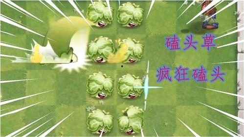 最新 植物爆料视频大全,最新爆料视频大全揭秘大自然奥秘