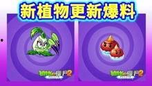 最新 植物爆料视频大全,最新爆料视频大全揭秘大自然奥秘  第2张