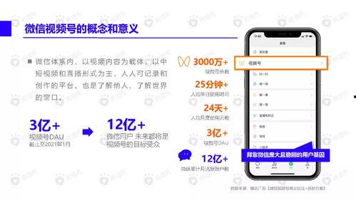 爆料胖墩小橙子视频下载,揭秘网络爆红胖墩小橙子视频下载背后的故事