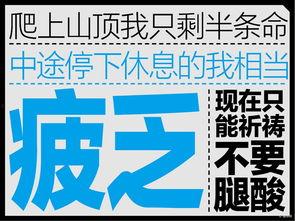 圆梦之行最新爆料是哪一集,揭秘第XX集精彩剧情！