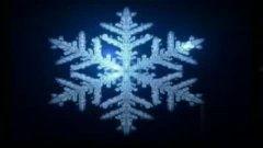 雪花在线观看,冬日浪漫，在线共赏