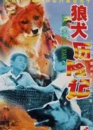 狼犬历险记在线观看,勇闯未知世界的冒险之旅