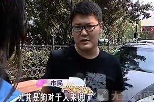 济南男子爆料视频最新,揭露惊人真相! 第2张 济南男子爆料视频最新,揭露惊人真相! 第2张