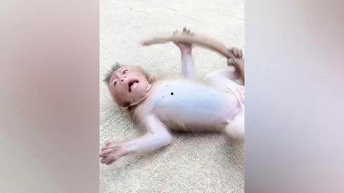 奥克兰小猴子爆料视频,揭秘视频背后的惊人真相 第3张 奥克兰小猴子爆料视频,揭秘视频背后的惊人真相 第3张