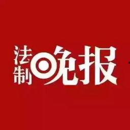 那些新闻可以爆料,近期重大新闻事件背后的真相与影响  第1张