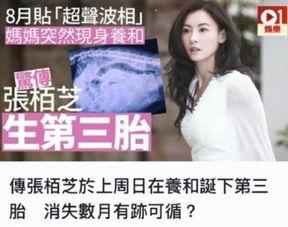 娱乐圈11月5号爆料,明星恋情曝光，幕后真相令人震惊！  第2张