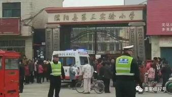 濮阳事件爆料最新,真相渐浮水面，公众关注焦点再升级  第2张