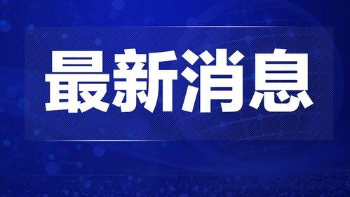 热点爆料深圳新闻最新消息,揭秘城市新动态与重大事件  第3张