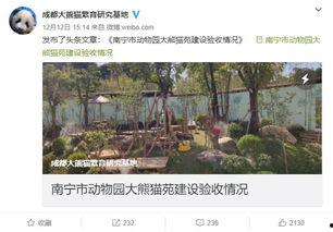南宁动物园爆料视频播放,萌宠互动引网友热议  第2张