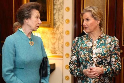 安妮公主最新爆料,王室生活背后的惊人真相