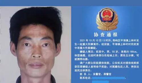 吴新宇案件最新爆料消息,惊人内幕揭露与进展梳理