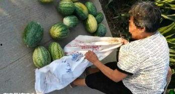 陇南网红吃瓜最新事件,揭秘背后真相与网络舆论风暴 第2张 陇南网红吃瓜最新事件,揭秘背后真相与网络舆论风暴 第2张