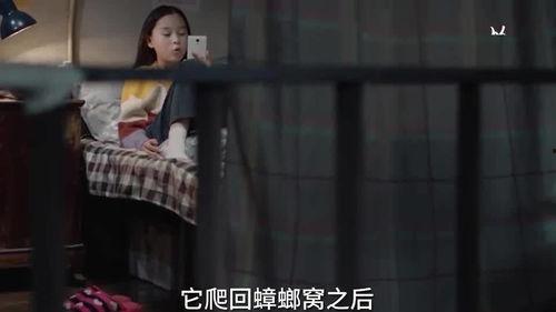 姐姐爆料视频在线播放,独家内容在线播放大揭秘