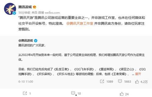 天游工作室最新爆料新闻,神秘新游即将亮相，游戏界再掀风云