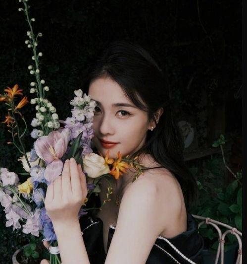 娱乐圈小黑爆料白鹿小说,白鹿小说背后的真相揭秘