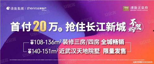 武汉热点新闻爆料电话,揭秘城市脉搏的实时脉动