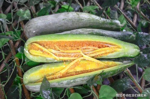 唐山网红吃瓜链接,揭秘背后真相与网络热议  第2张