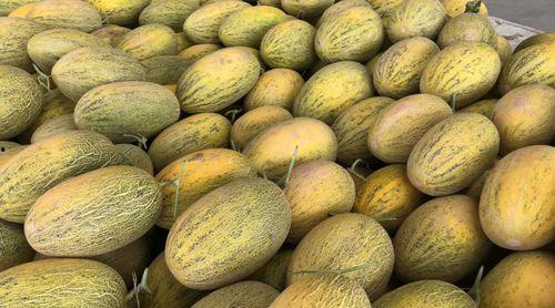 唐山网红吃瓜链接,揭秘背后真相与网络热议  第3张