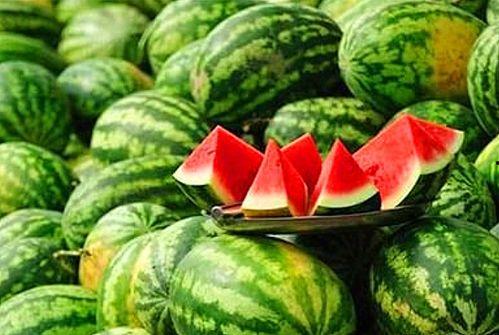 吃瓜微信推荐免费下载 第3张 吃瓜微信推荐免费下载 第3张