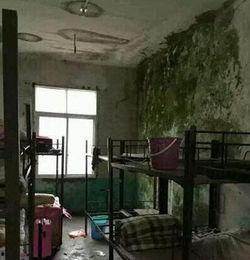临沂东宿舍爆料事件视频,揭秘宿舍生活背后的真相