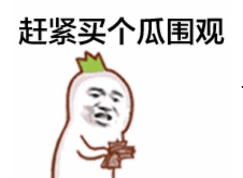 吃瓜群众放过娱乐圈吗,吃瓜群众何时能放下偏见与炒作？  第3张