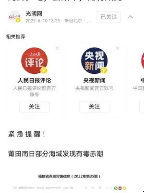 头条最新爆料新闻,揭秘最新爆料背后的惊人真相! 第3张 头条最新爆料新闻,揭秘最新爆料背后的惊人真相! 第3张