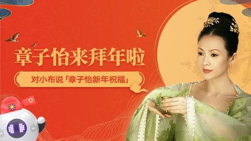 小布先生娱乐圈爆料小说,小布先生独家爆料，揭秘明星幕后故事