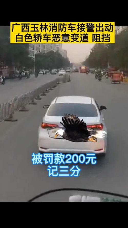 今日爆料玉林新闻视频,惊人内幕曝光！  第2张