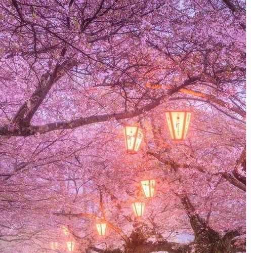 718娱乐吃瓜在线下载,揭秘热门娱乐资讯新途径 第2张 718娱乐吃瓜在线下载,揭秘热门娱乐资讯新途径 第2张