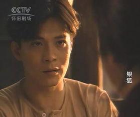 电视剧银狐在线观看,穿越时空的奇幻之旅，在线观看重温经典  第2张